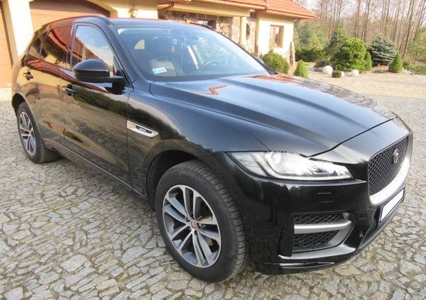 Jaguar F-Pace cena 84500 przebieg: 124677, rok produkcji 2016 z Rypin małe 67